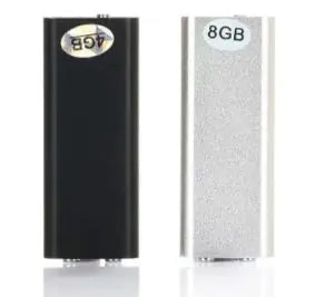 Portable Voice Recorder